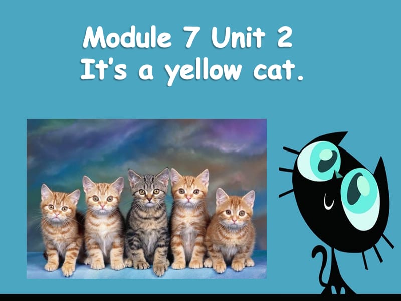 一年级上册英语课件-Module 7 Unit 2 Its a yellow cat 1｜外研社（一起）(共21张PPT)-教学文档.ppt_第1页