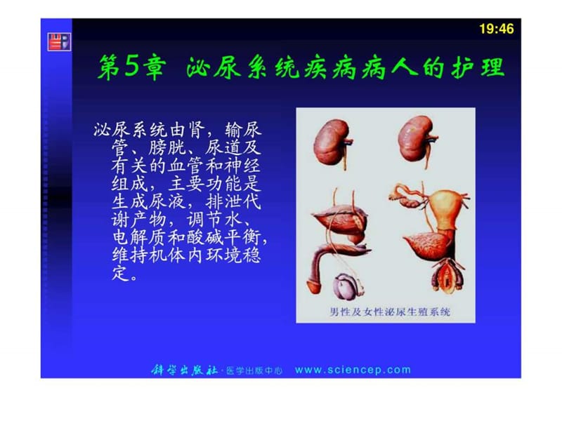 5泌尿 《内科护理学》.ppt.ppt_第2页