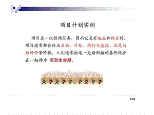 3项目计划实例.ppt