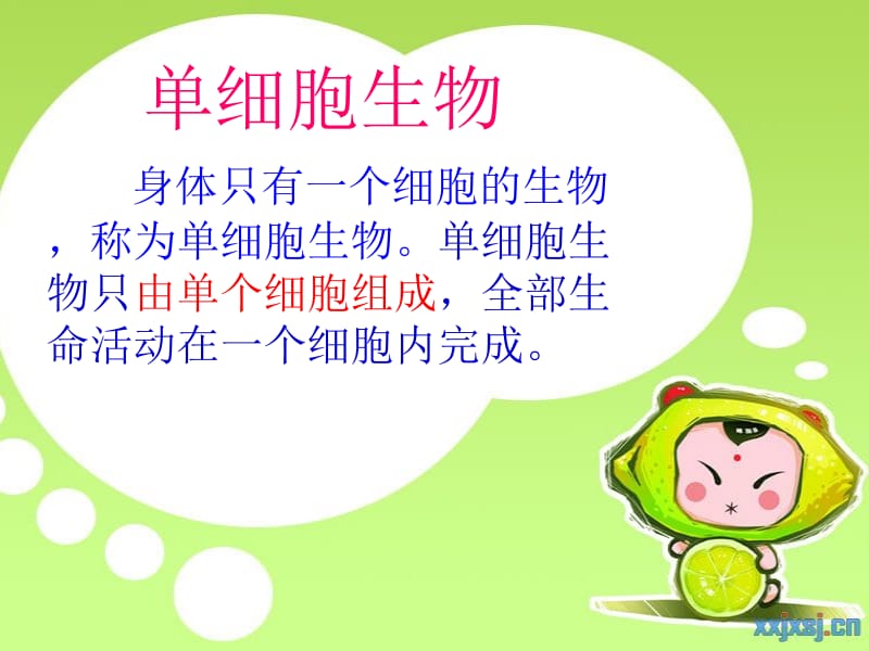 单细胞生物课件.ppt_第2页