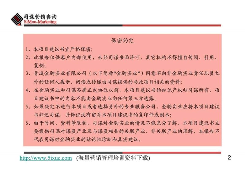 ××实业发展战略项目建议书.ppt_第2页