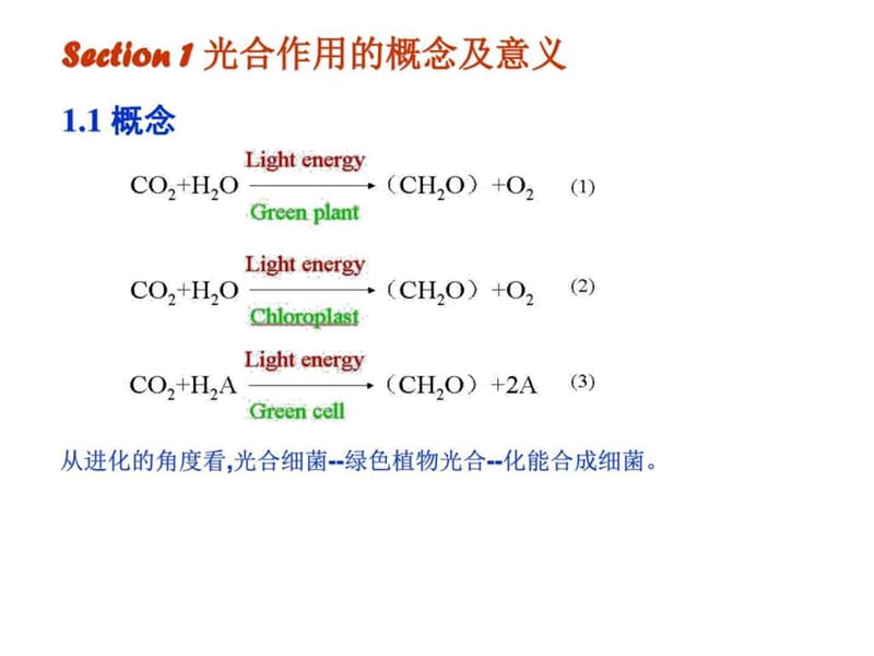 3光合作用(简版)_图文.ppt.ppt_第2页