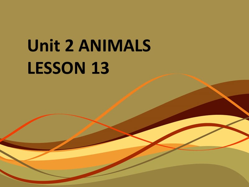 一年级上册英语课件-Unit 2 ANIMALS LESSON 13 课件｜清华版（一起） (共13张PPT)-教学文档.ppt_第1页