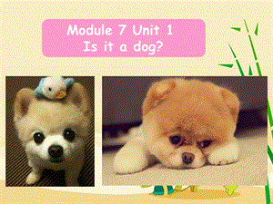 一年级上册英语课件-Module 7 Unit 1 Is it a dog 1｜外研社（一起）(共20张PPT)-教学文档.ppt