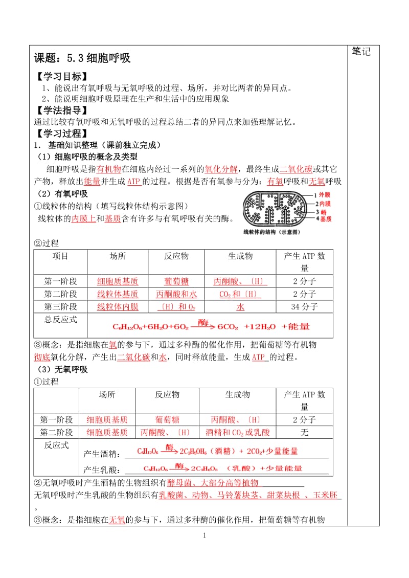 细胞呼吸导学案及答案.doc_第1页