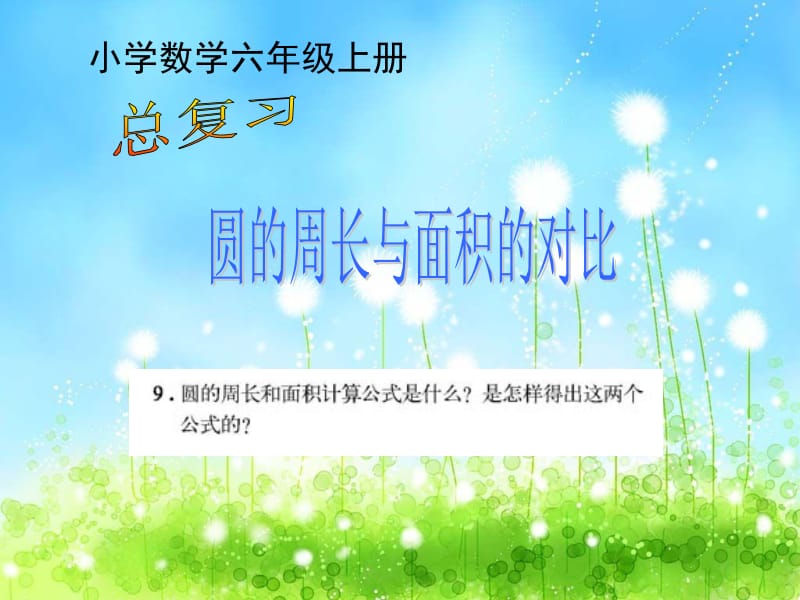 圆的周长与面积对比练习.ppt_第1页