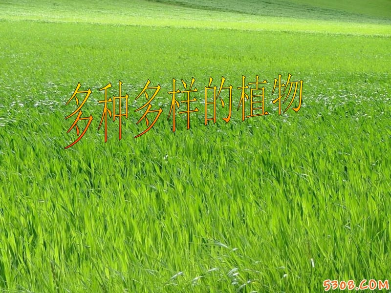 多种多样的植物.ppt_第1页