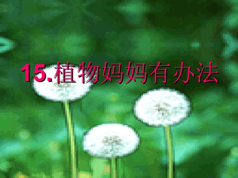 15植物妈妈有办法.ppt_第1页