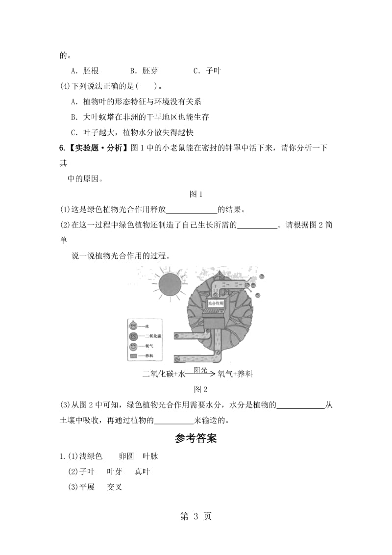 三年级下册科学同步练习-4种子变成了幼苗∣教科版.doc_第3页