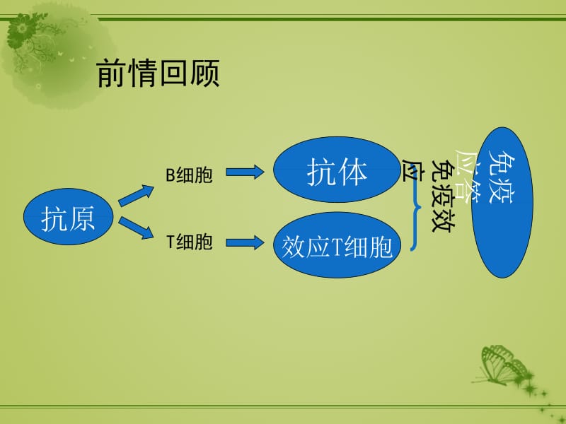 I型超敏反应性疾病.ppt_第2页