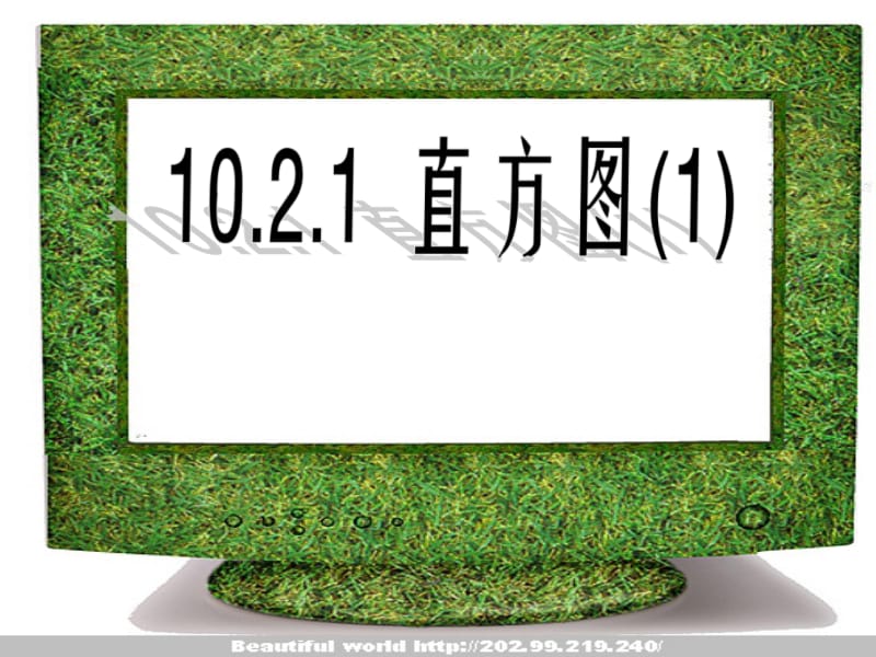 10.2.1直方图.ppt_第1页