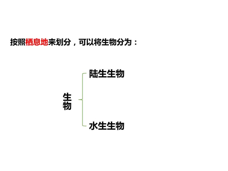 (新)华师大版七年级科学上册1.1《艳丽多姿的生物》第一....ppt.ppt_第2页