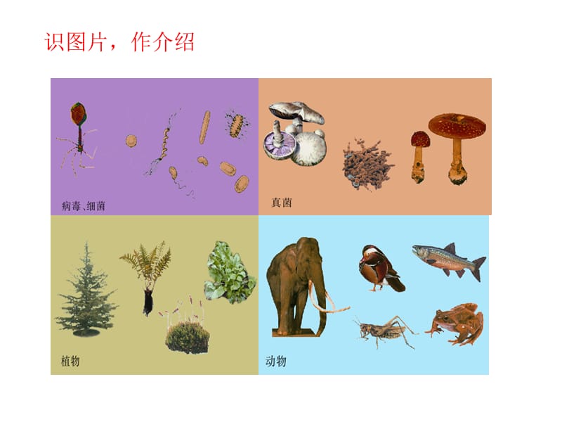 14-4 (3).ppt_第2页