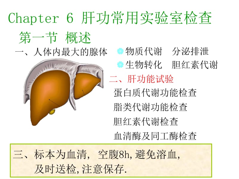 第六章_肝功能检查.ppt_第1页