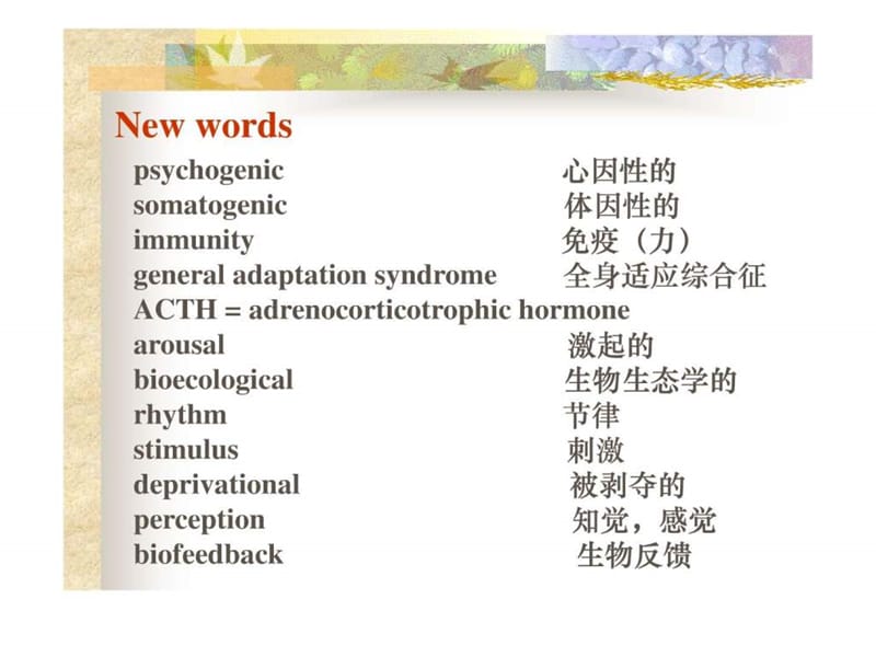 2009级检验英语演示文稿23.ppt_第2页