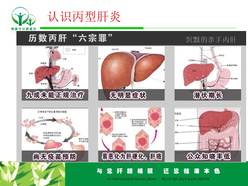 (精)丙型肝炎防治知识讲座-文档资料-精选文档.ppt_第1页