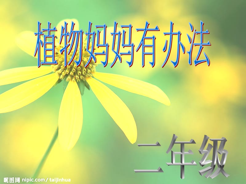 《植物妈妈有办法》1.ppt_第1页