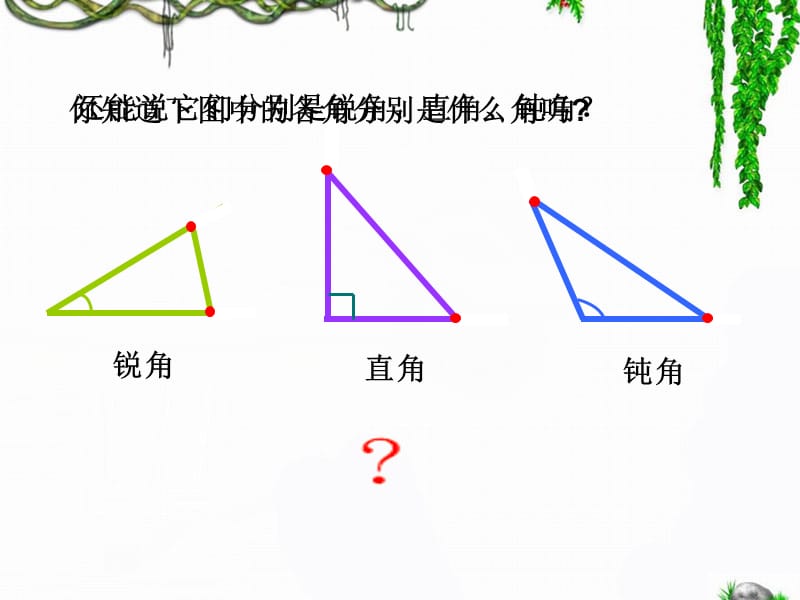 《三角形的分类》教学课件2.ppt_第2页