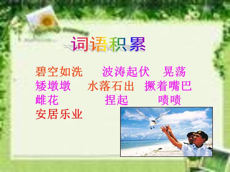 《彩色的翅膀》课件.ppt.ppt_第2页