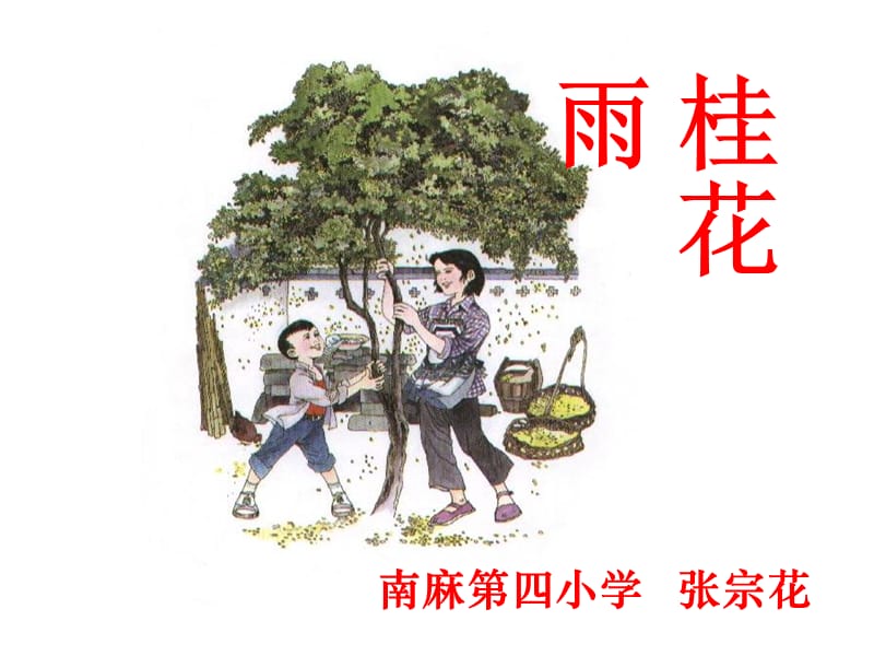 《桂花雨》课件.ppt_第1页