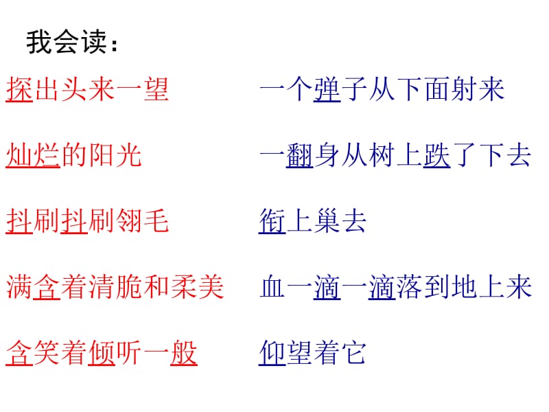 《一只小鸟》课件.ppt_第2页