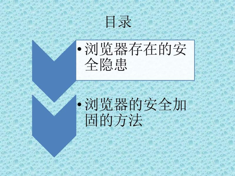 web浏览器端安全加固方法322.ppt_第2页