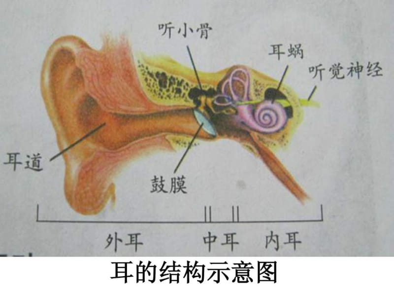 保护我们的听力.ppt27.ppt_第2页