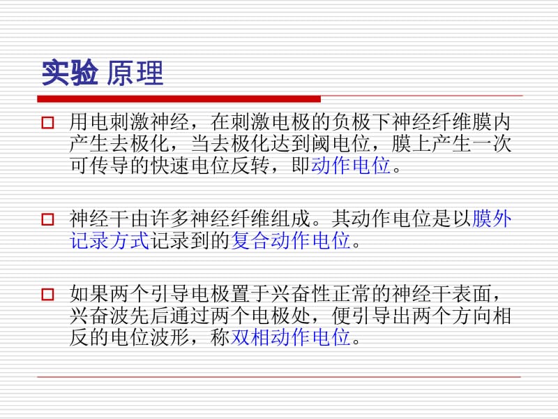 2神经干动作电位的记录与观察-精选文档-精选文档.ppt_第2页
