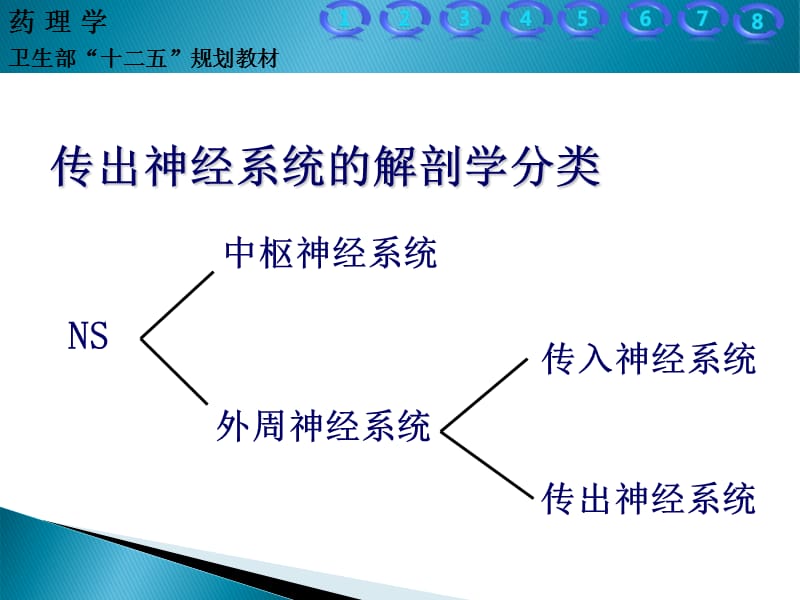 2018年5-传出神经系统药理概论-文档资料-精选文档.ppt_第3页