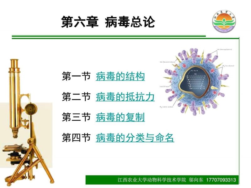 2018年2015-06病毒学总论-文档资料.ppt_第1页