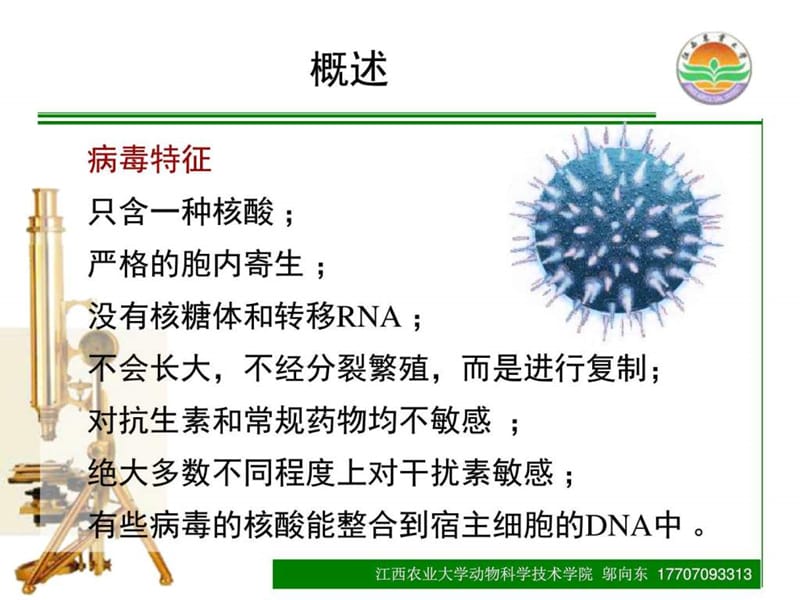 2018年2015-06病毒学总论-文档资料.ppt_第2页