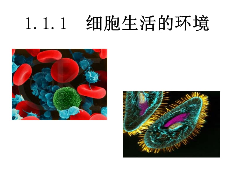 2018年1细胞生活的环境-文档资料.ppt_第1页