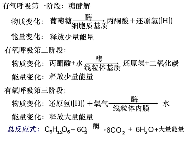 2018年人教版教学课件云南省弥勒县庆来中学2011-2012学年高一生物细胞呼吸6(课件)-文档资料.ppt_第2页