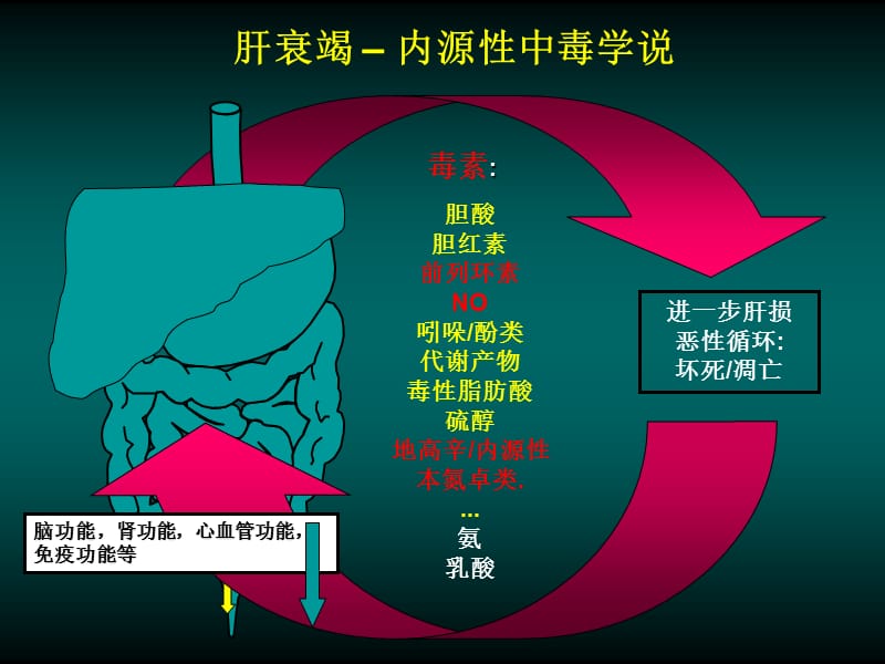 最新MARS（人工肝，2010学习班）-PPT文档.pptx_第3页