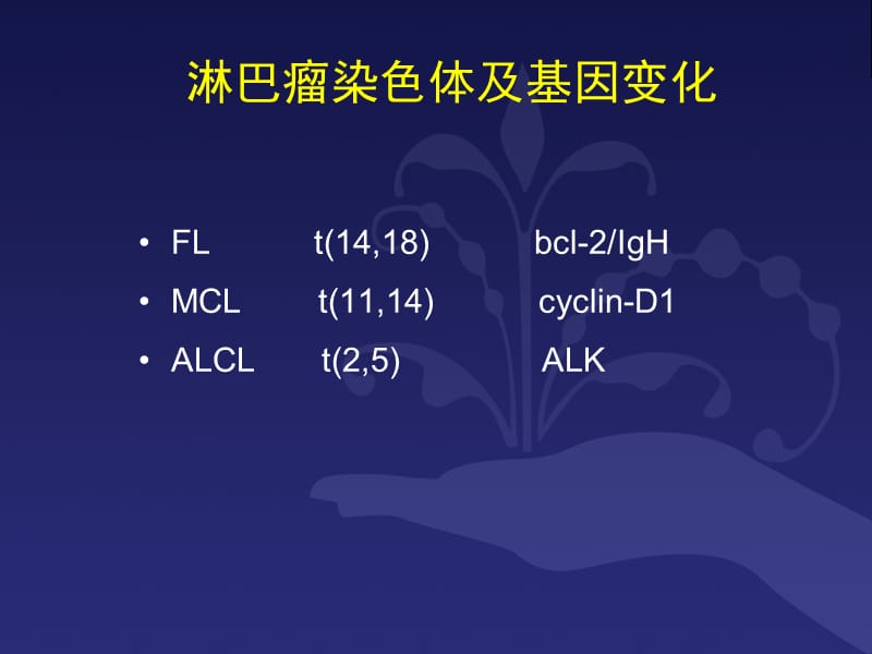 2018年B细胞淋巴瘤规范化诊断和治疗-文档资料.ppt_第2页