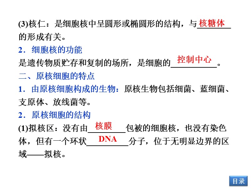 23细胞核、原核细胞-精选文档-PPT文档.ppt_第3页