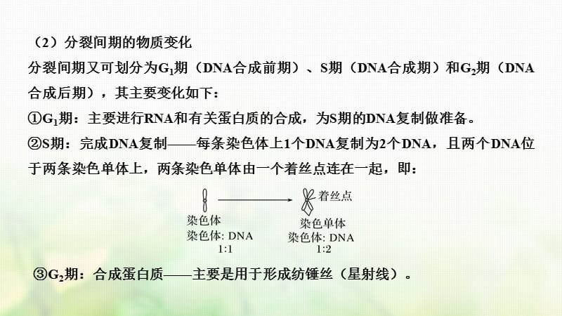 2018届高考生物一轮复习第四单元细胞的生命历程第11讲减数分裂和受精作用课件-文档资料-精选文档.ppt_第3页