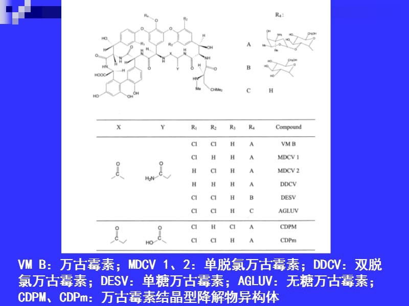 2018年微生物药物课件第8章－糖肽类抗生素-文档资料.ppt_第2页