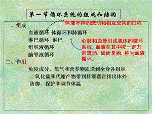 2018年《人体解剖生理学》第六章循环系统的结构和功能PPT课件-文档资料.ppt