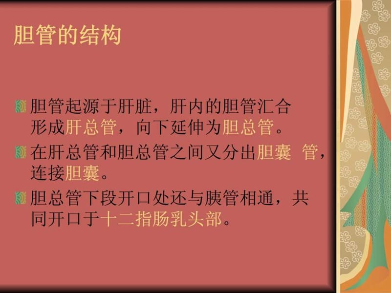 最新ERCP治疗胆总管结石的护理-PPT文档.ppt_第1页