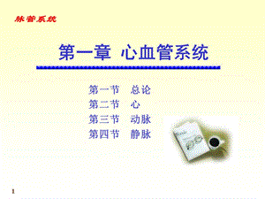 七科联考-系统解剖学--心-精选文档.ppt