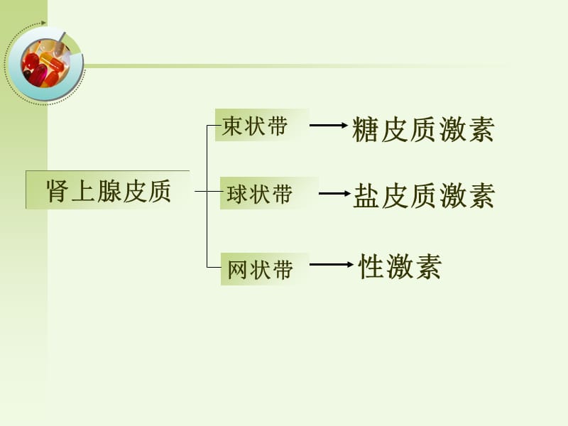 三十章肾上腺皮质激素类药-PPT文档.ppt_第1页