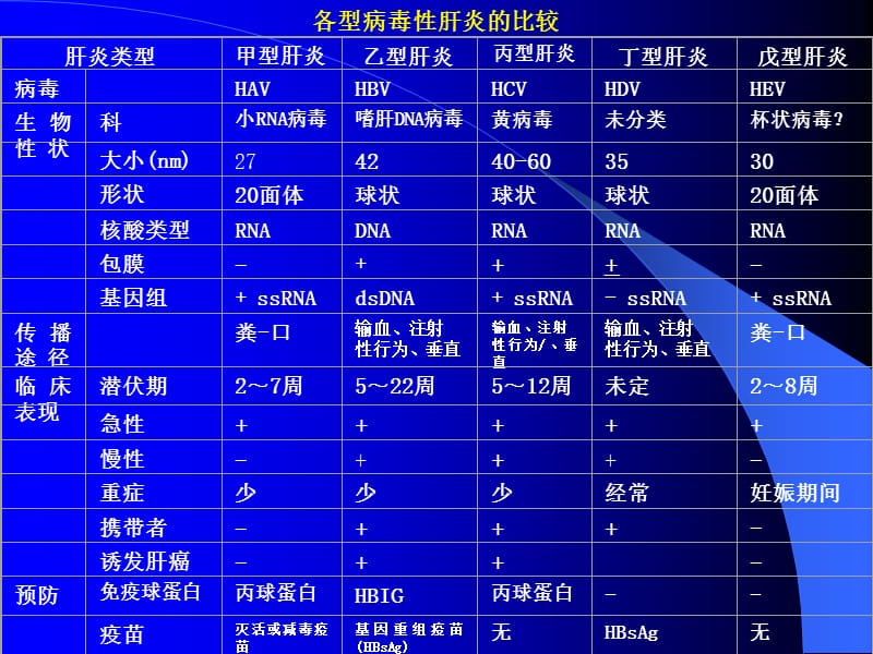 2016肝炎病毒ppt课件-文档资料.ppt_第2页