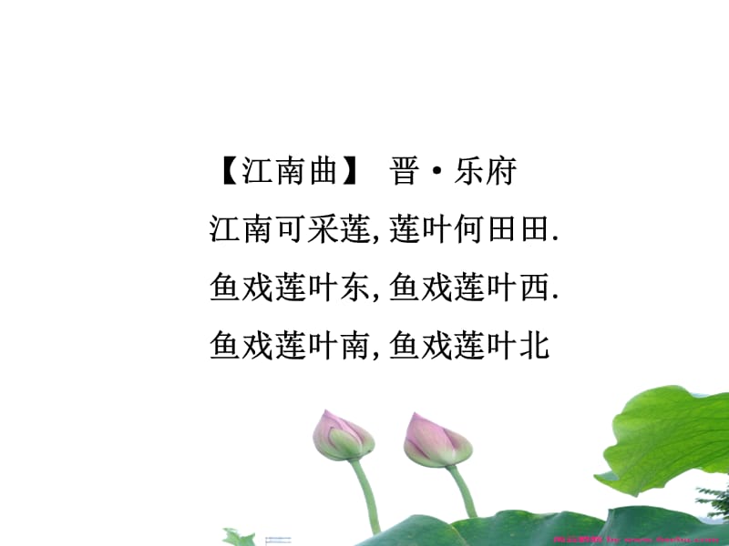 《荷叶母亲》课件.ppt_第2页