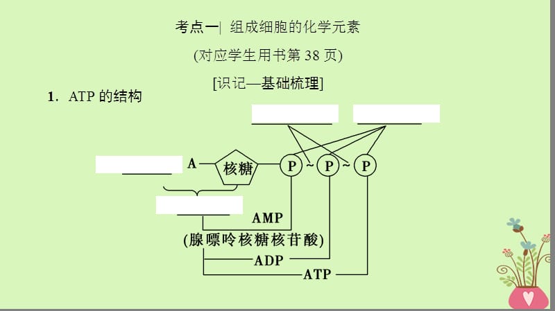 2018年2018年2019版高考生物一轮复习第3单元光合作用和细胞呼吸第1讲ATP和酶课件苏教版-文档资料.ppt_第3页