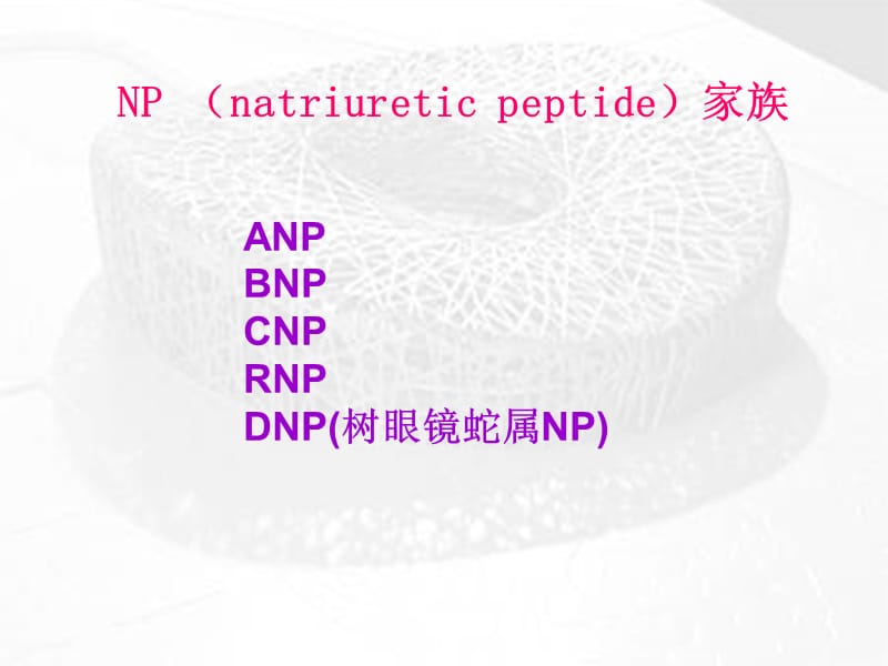 BNP及NT-proBNP的临床应用-课件，幻灯，PPT-文档资料.ppt_第1页