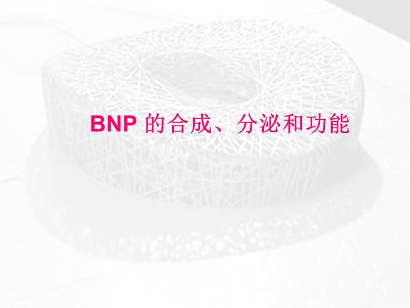 BNP及NT-proBNP的临床应用-课件，幻灯，PPT-文档资料.ppt_第2页