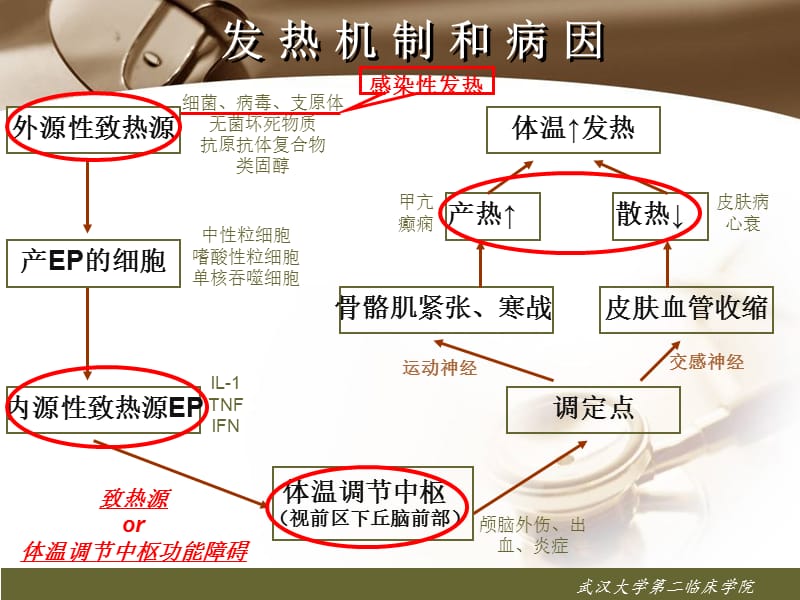 2018年复习2.发热、发绀、疼痛、水肿-文档资料.ppt_第2页