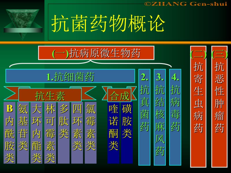 最新：Pt 07 药理学-文档资料.ppt_第2页