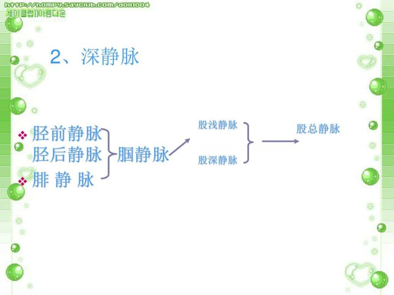 2018年下肢大隐静脉曲张伴血栓性静脉炎-文档资料.ppt_第2页